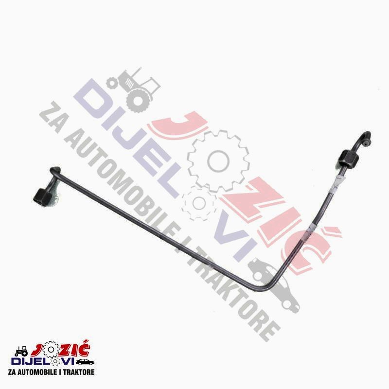 Daisy on the Ohoopee